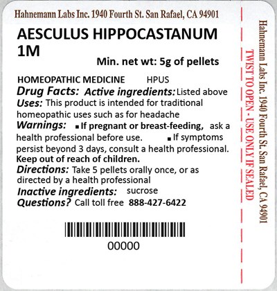 Aesculus Hippocastanum 1m 5g (Aesculus Hippocastanum 1m 5g)